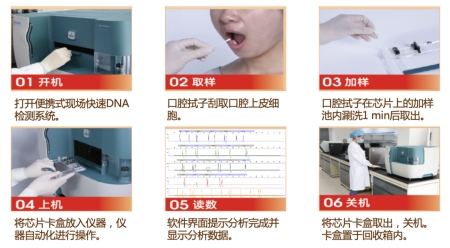 基于全集成微流控芯片的自動(dòng)化法醫(yī)DNA檢測(cè)流程